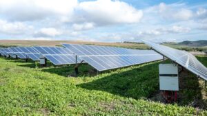 Large solar panel array installed in a green field for renewable energy generation.
