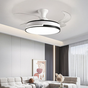 20 Inch Ceiling Light with Fan + Bluetooth Speaker